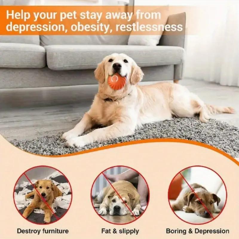 Blue And Orange Pet Bouncing Ball Fun Pet Bouncing Ball For Cats And Dogs